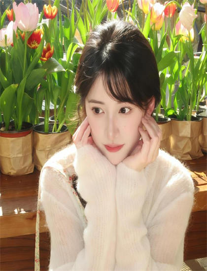 《九辰风云录》观众口碑：真实观影反馈与教育评价汇总